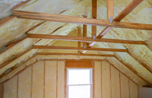 Best Home Insulation Services  in Ben Lomond, CA