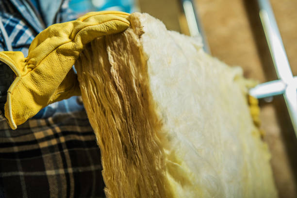 Best Professional Insulation Contractor  in Ben Lomond, CA