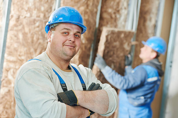 Best Insulation Inspection Services  in Ben Lomond, CA